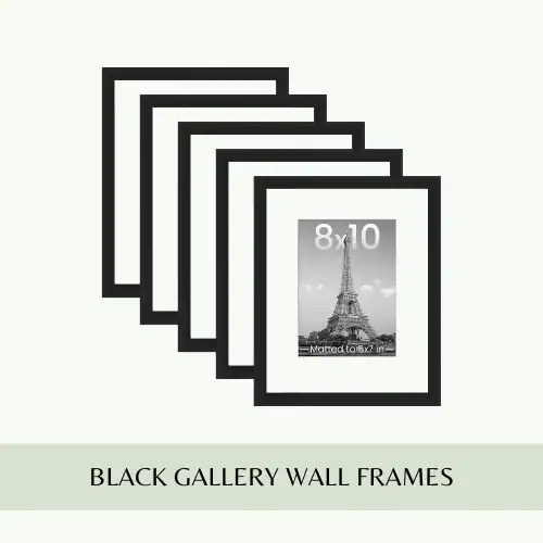 Interior Design Living Room