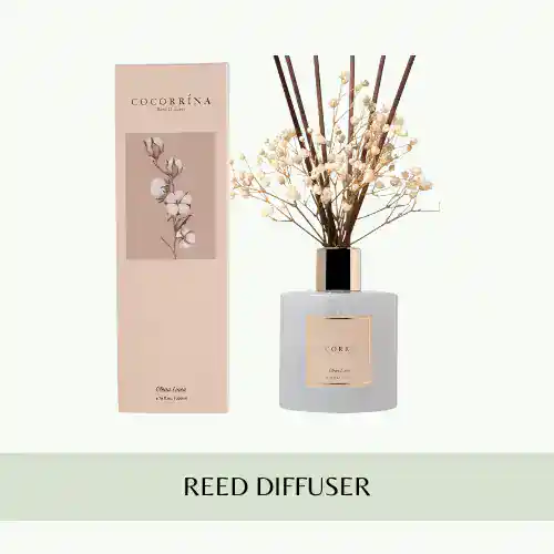 interior design ideas for living room