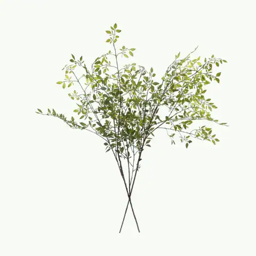 victorian graphic design