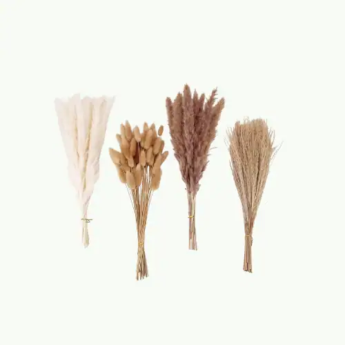 Budget-friendly home decor ideas