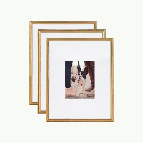 best gallery wall frames