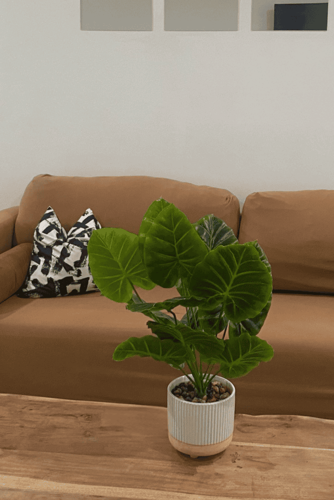 Best Faux Plant Overall