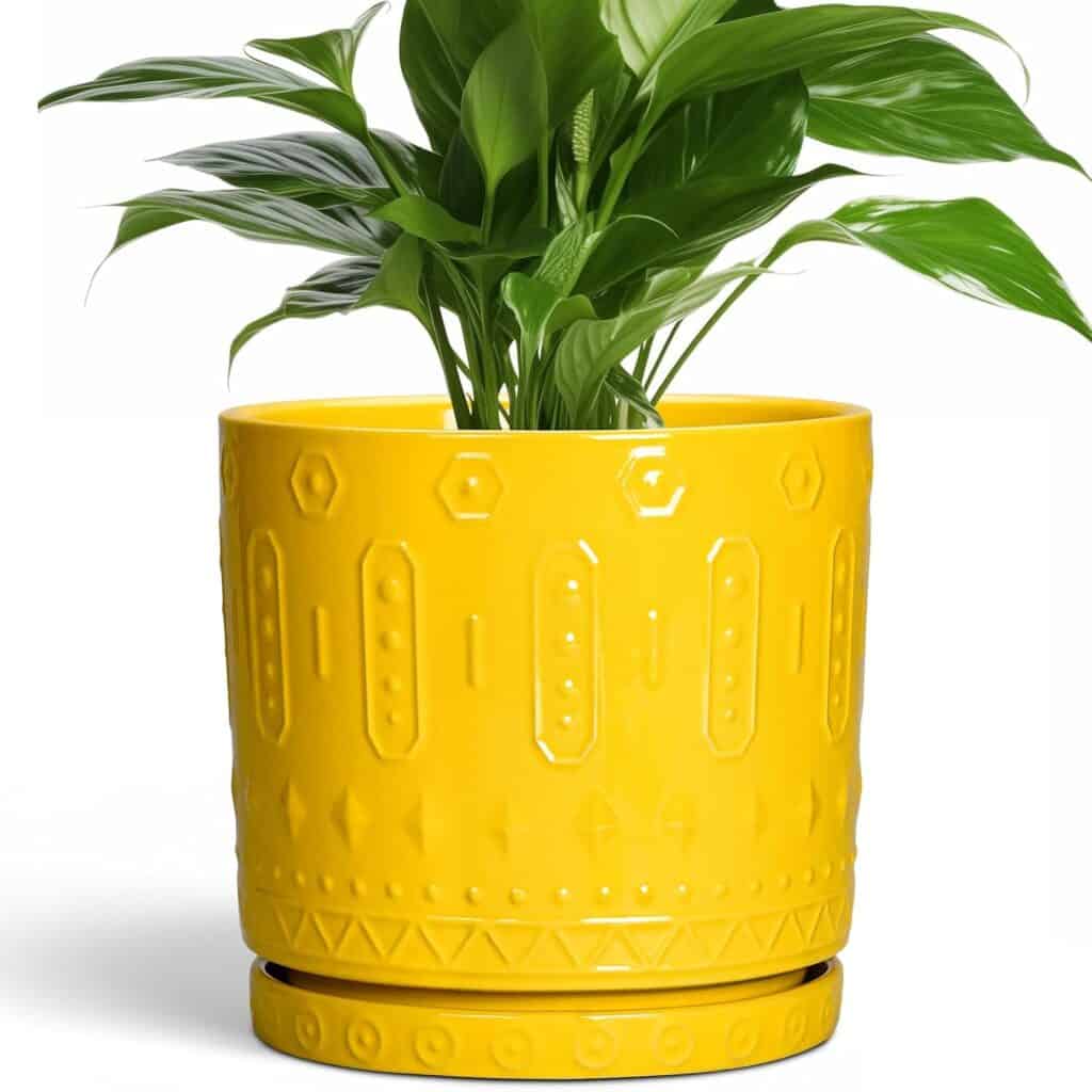 amazon ceramic planters