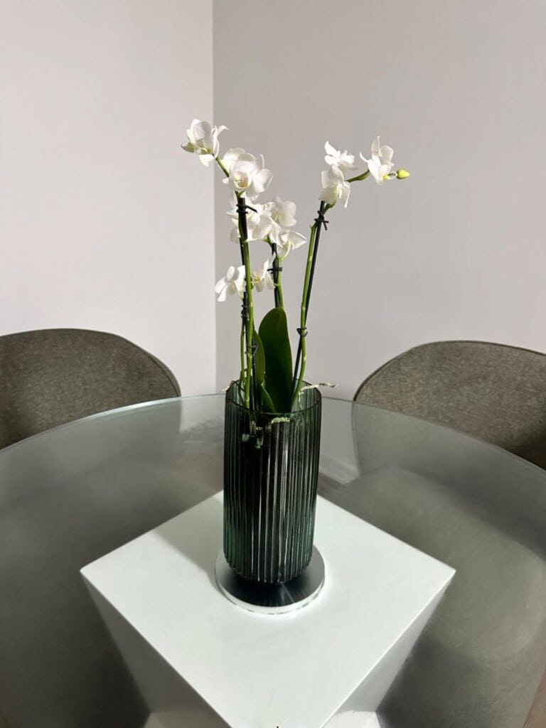 best vases