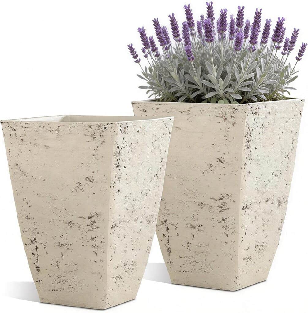  Best Planters
