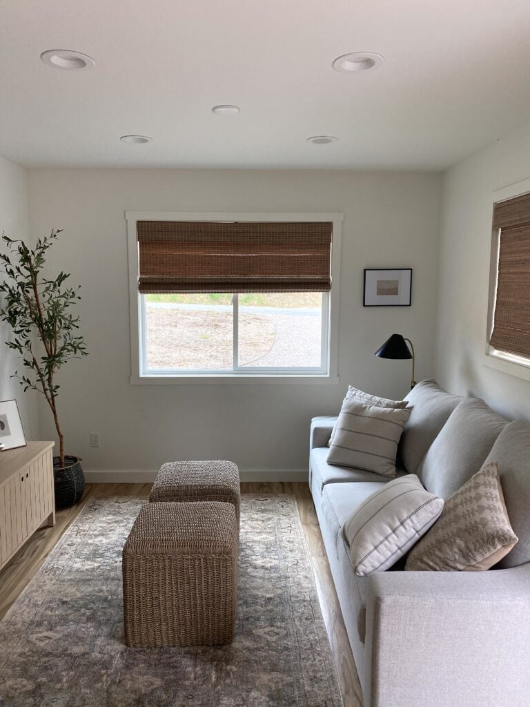 First apartment essentials