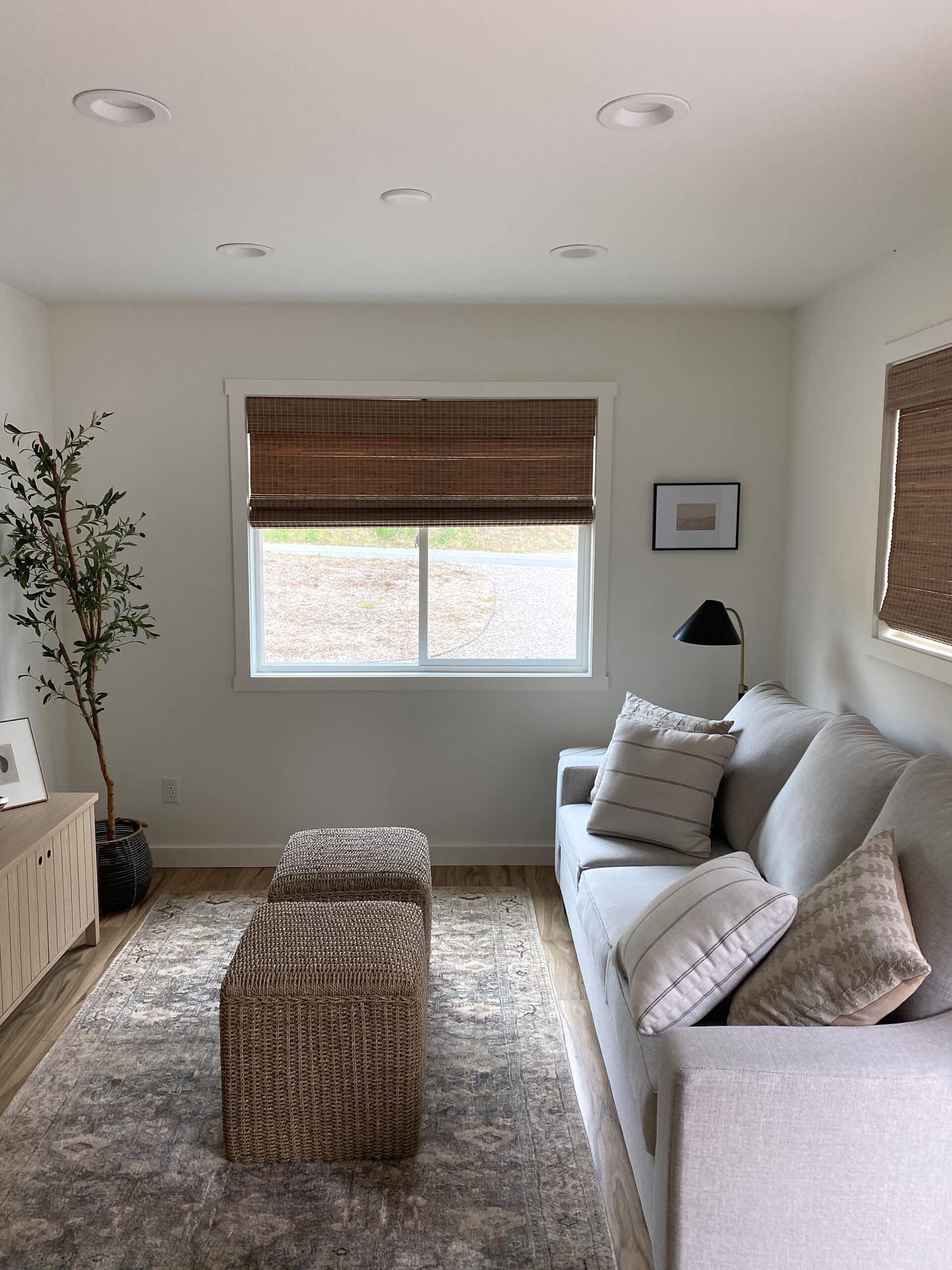 First apartment essentials