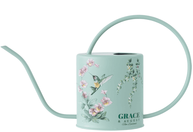  Indoor or Outdoor Watering Can