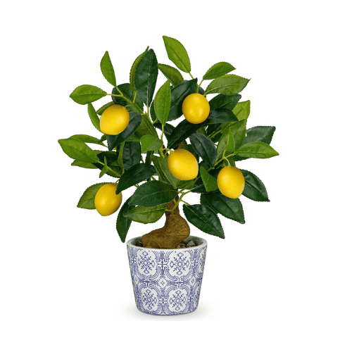 Party Hosting Essentials