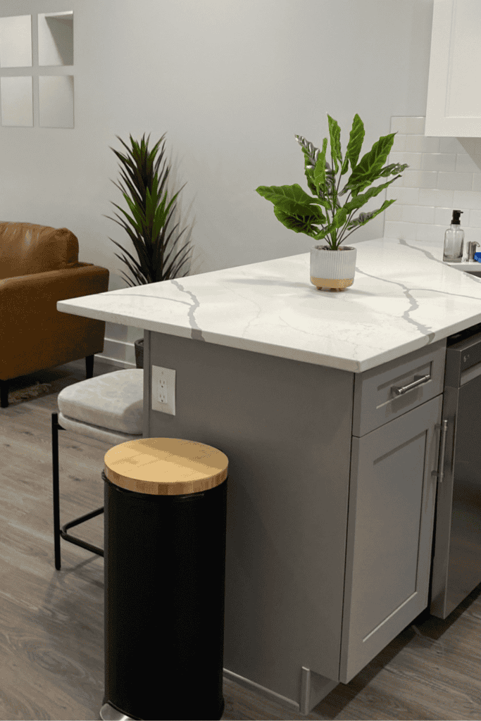 house plants