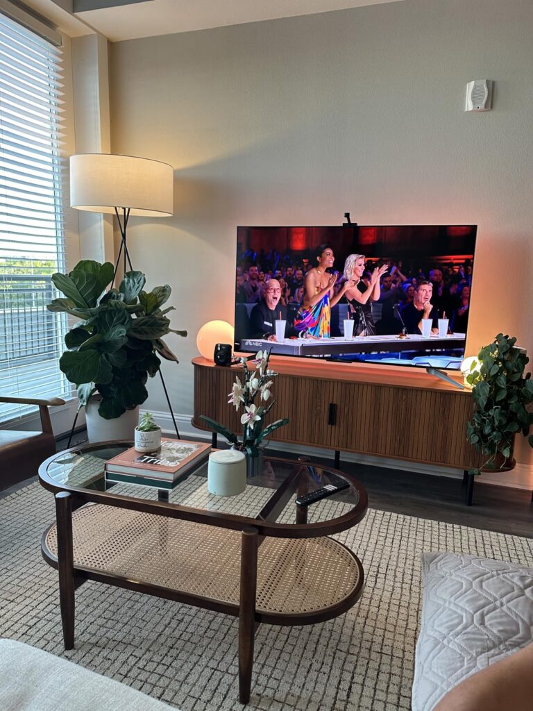 Media Console Setup