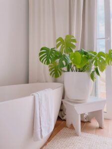 apartment bathroom essentials